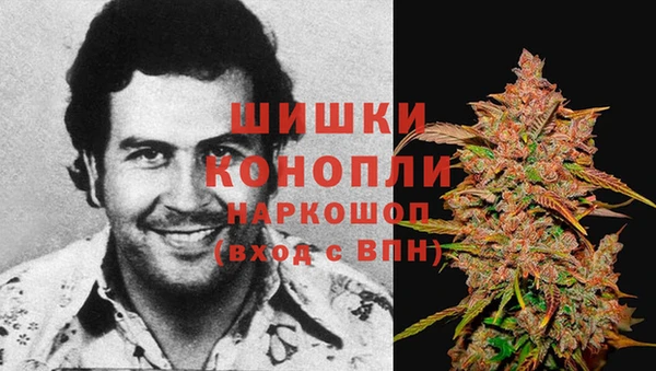 винт Магас