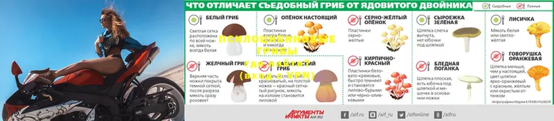 shop официальный сайт  Правдинск  Галлюциногенные грибы GOLDEN TEACHER 